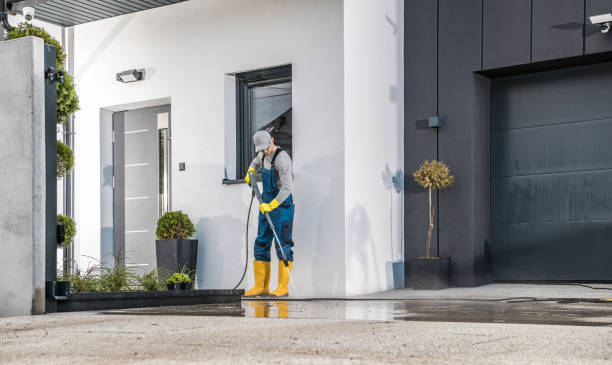 Best Pre-Holiday Cleaning  in Liberty Triangle, FL